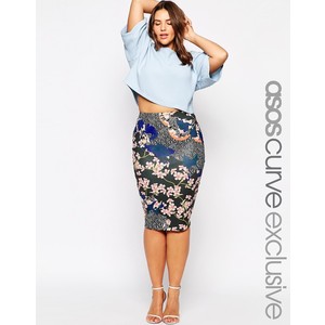 Asos Curve Young Fashion